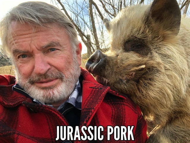 jurassic park meme - snout - Jurassic Pork