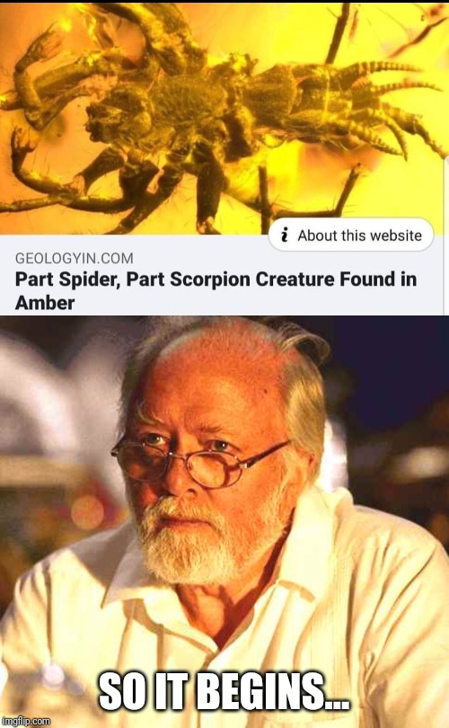 jurassic park meme - spider scorpion in amber - i About this website Geologyin.Com Part Spider, Part Scorpion Creature Found in Amber So It Begins... Imgflip.com
