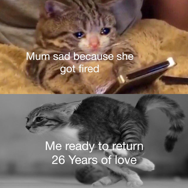 texting in the middle of the night meme - Mum sad because she got fired Me ready to return 26 Years of love