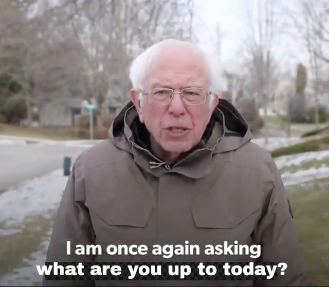 bernie sanders i am once again asking - Tam once again asking what are you up to today?