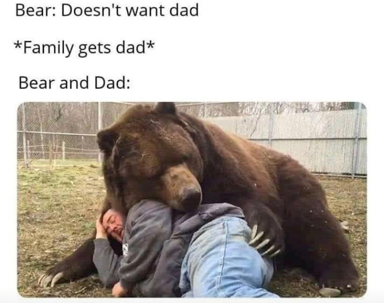 bear memes - Bear Doesn't want dad Family gets dad Bear and Dad