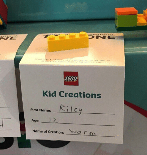 lego kid creations worm - Lego Kid Creations First Name Riley Age 1 2 First Name Name of Creation norm