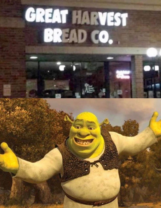 dank meme - you finish a presentation that went awful - Great Harvest Bread Co.