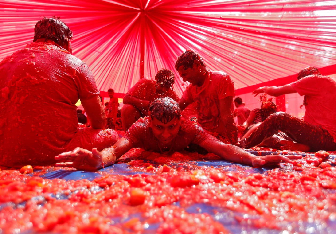 Holi pictures - festival of colors - spring - holi being celebrated using tomatoes in ahmedabad