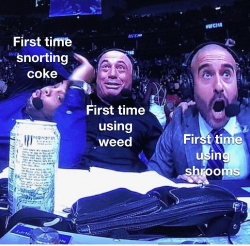 fan - First time snorting coke First time using weed First time using shrooms