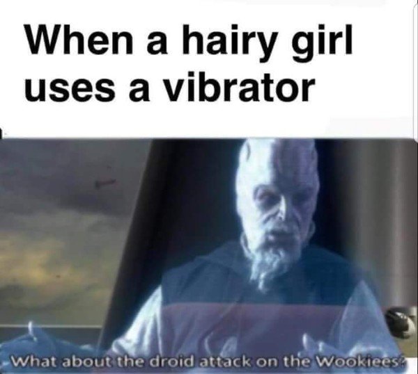 dirty memes, filthy memes, sex memes, NSFW memes, funny dirty memes, porn memes, dirty memes for him, dirty memes for her, dirty memes 2020, funny memes, dirty picsnsfw meme - When a hairy girl uses a vibrator What about the droid attack on the Wookiees