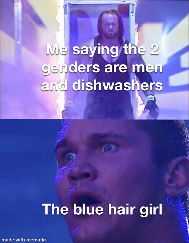 offensive memes, NSFW memes, dirty memes, dark memes, most offensive memes, funny memes, funny pictures, stuck knowledge meme - Me saying the 2 genders are men and dishwashers The blue hair girl made with mematic