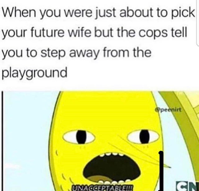 offensive memes, NSFW memes, dirty memes, dark memes, most offensive memes, funny memes, funny pictures, smile - When you were just about to pick your future wife but the cops tell you to step away from the playground peenirt Unacceptablet | Cn