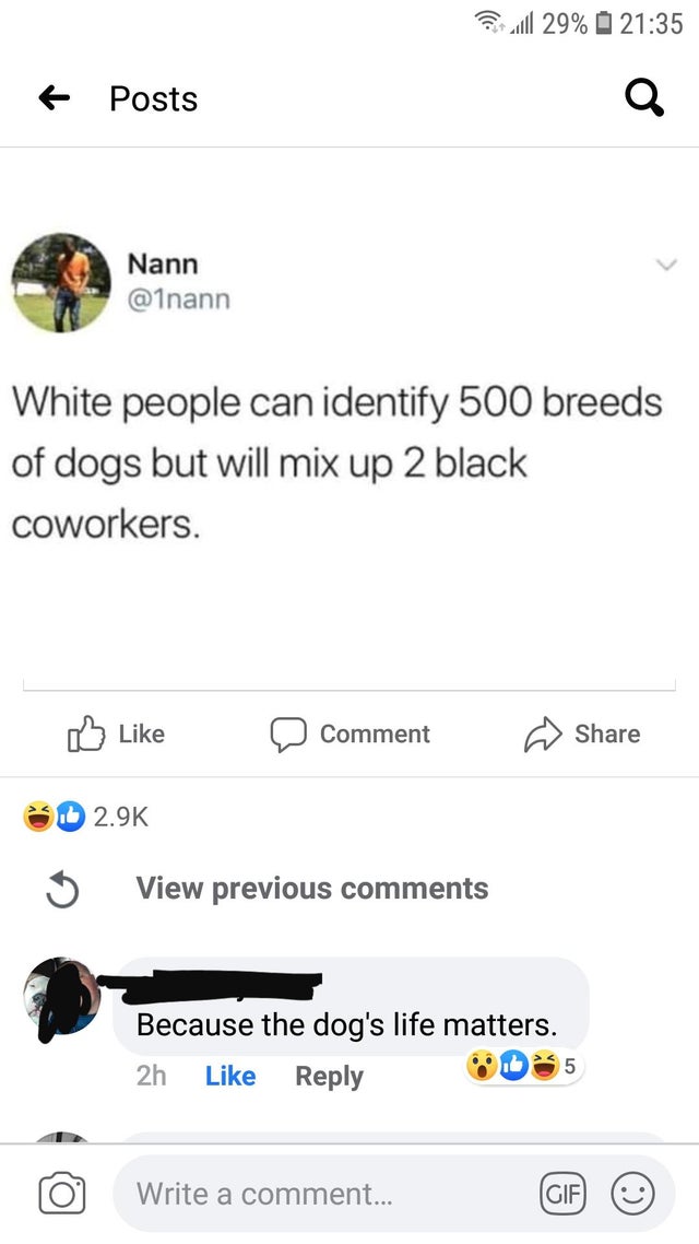 offensive memes, NSFW memes, dirty memes, dark memes, most offensive memes, funny memes, funny pictures, screenshot - El 29% Posts Nann White people can identify 500 breeds of dogs but will mix up 2 black coworkers. D Comment D View previous Because the d