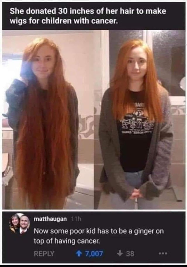 offensive memes, NSFW memes, dirty memes, dark memes, most offensive memes, funny memes, funny pictures, she donated 30 inches of hair - She donated 30 inches of her hair to make wigs for children with cancer. matthaugan 11h Now some poor kid has to be a 