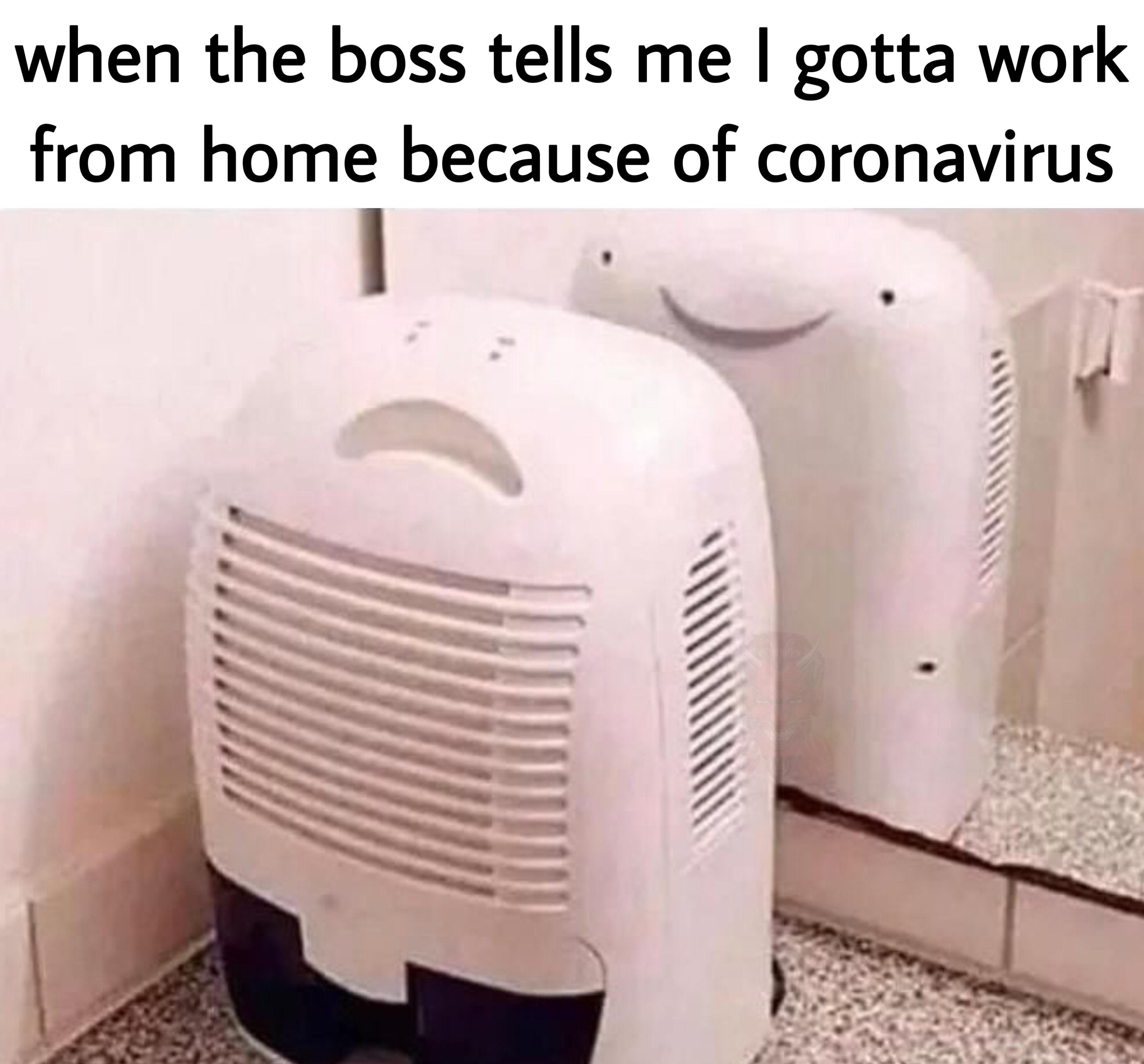funny memes, 2020 sucks memes, coronavirus memes, friday 13th memes, toilet paper memes - sick school memes - when the boss tells me I gotta work from home because of coronavirus