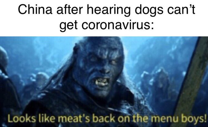 funny memes, 2020 sucks memes, coronavirus memes, friday 13th memes, toilet paper memes - looks like meats back on the menu boys - China after hearing dogs can't get coronavirus Looks meat's back on the menu boys!