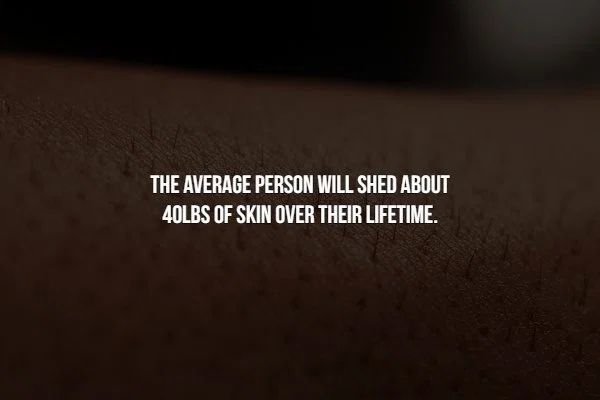 late september (2012) - The Average Person Will Shed About 40LBS Of Skin Over Their Lifetime.