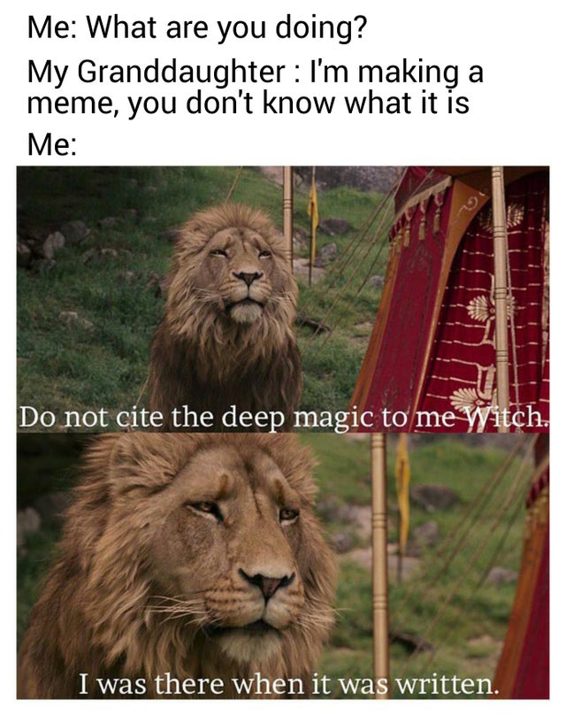 ligma 2 balls meme - Me What are you doing? My Granddaughter I'm making a meme, you don't know what it is Me Do not cite the deep magic to me Witch. I was there when it was written.