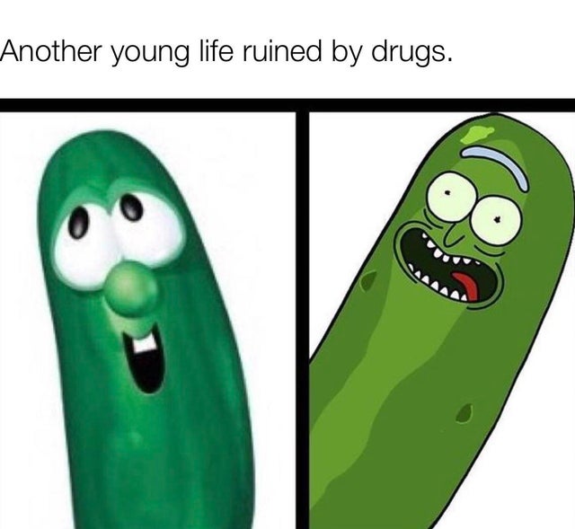 dank rick and morty memes - Another young life ruined by drugs.