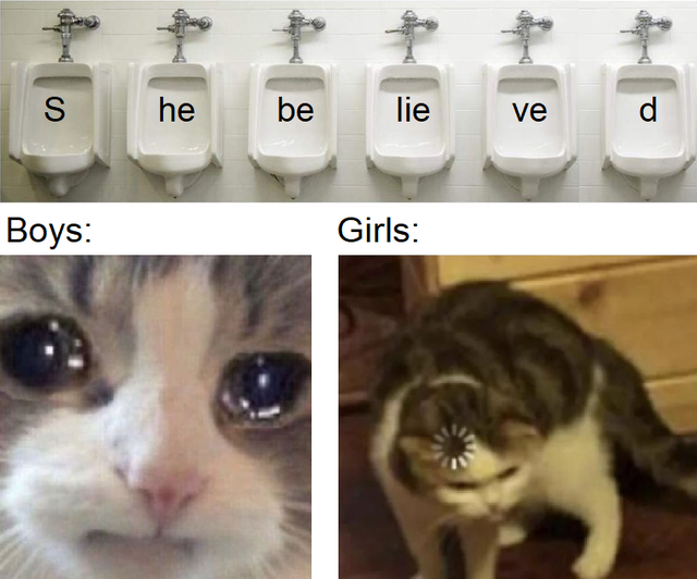 buffering loading cat meme - De he lie Ve Boys Girls