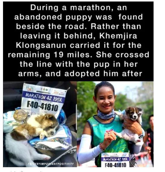 Marathon - During a marathon, an abandoned puppy was found beside the road. Rather than leaving it behind, Khemjira Klongsanun carried it for the remaining 19 miles. She crossed the line with the pup in her arms, and adopted him after Marathon F4041810…