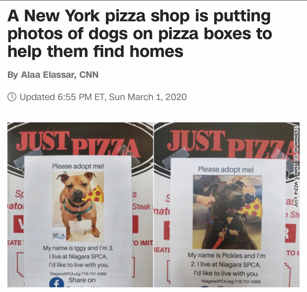 facebook time - A New York pizza shop is putting photos of dogs on pizza boxes to help them find homes By Alaa Elassar, Cnn o Updated Et, Sun Just Pizza Justpizza Wing Co. In Amherst Please adopt me! Please adopt me! Just Pizza ato Steak nato Spa Eate To 