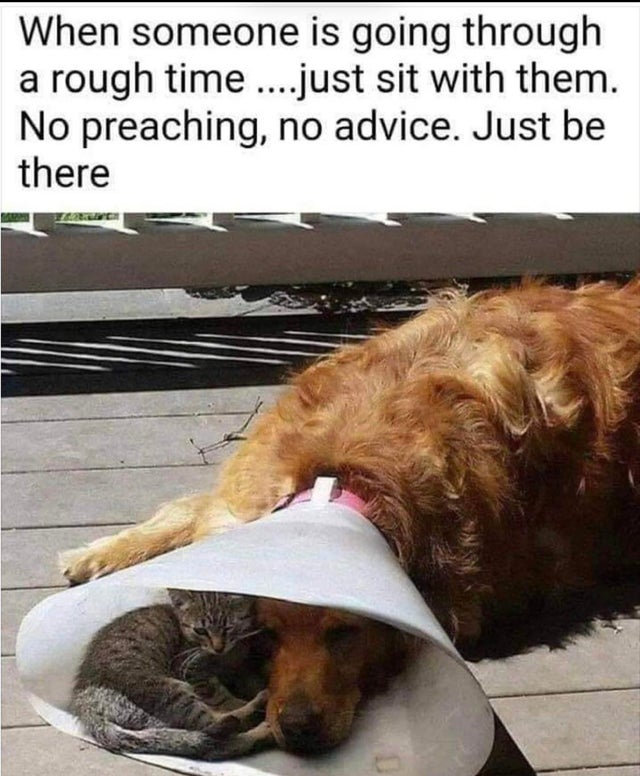 just be there meme - When someone is going through a rough time ....just sit with them. No preaching, no advice. Just be there