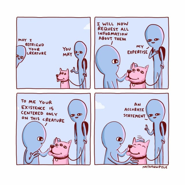nathan w pyle strange planet - I Will Now Request All Information About Them May I Befriend Your Creature My Expertise To Me Your Existence Is Centered Only On This Creature An Accurate Statement Nathanwpyle
