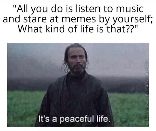funny memes 2020 - "All you do is listen to music and stare at memes by yourself; What kind of life is that??" Sreet Kuonestapim It's a peaceful life.