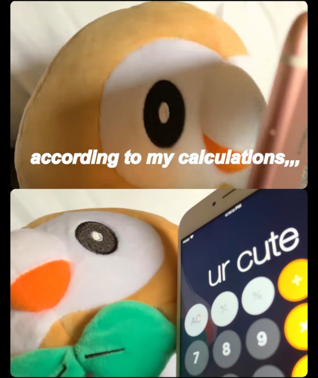 stuffed toy - according to my calculations,,, ur cute