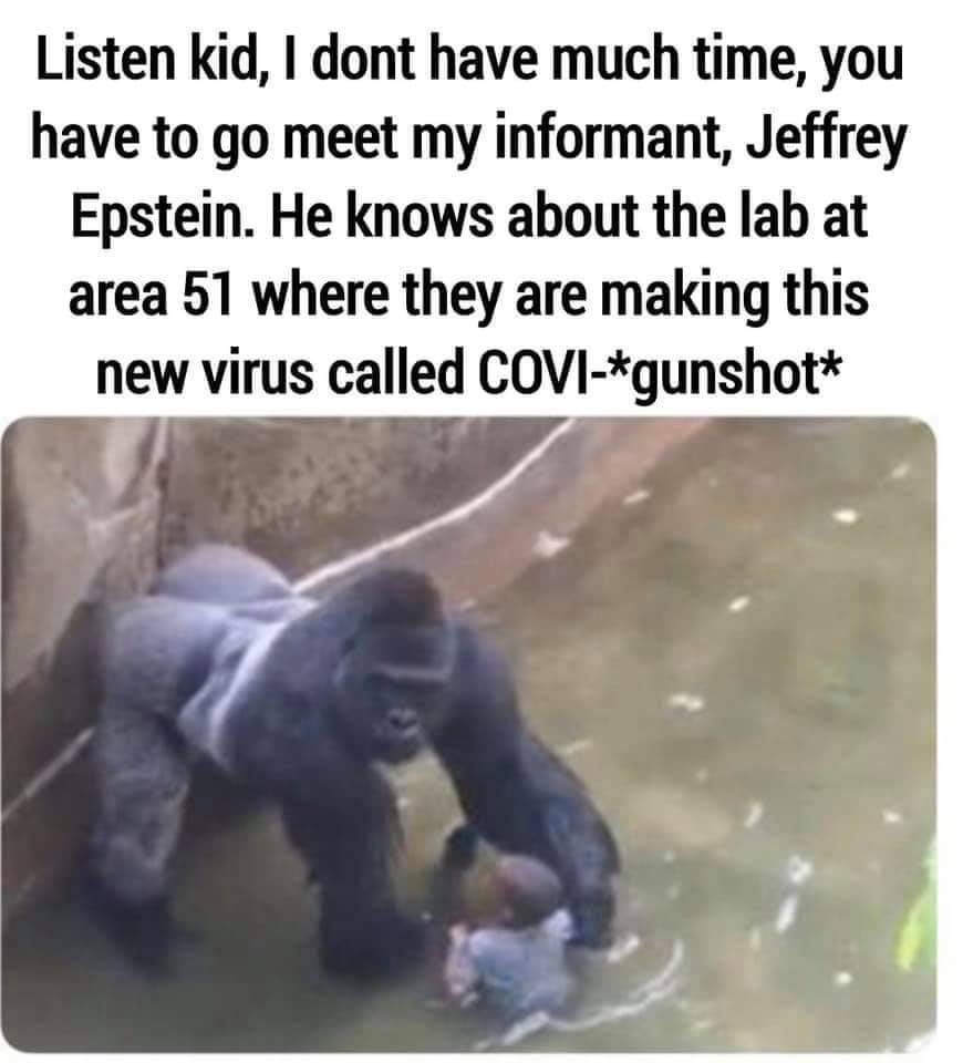 harambe meme i don t have much time - Listen kid, I dont have much time, you have to go meet my informant, Jeffrey Epstein. He knows about the lab at area 51 where they are making this new virus called Covigunshot