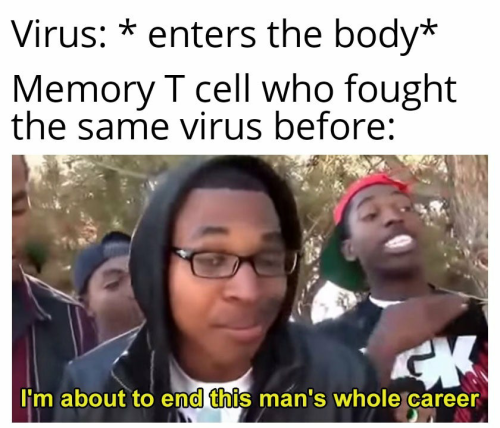 people think - Virus enters the body Memory T cell who fought the same virus before I'm about to end this man's whole career