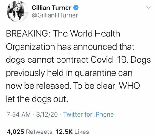 document - Gillian Turner H Turner Breaking The World Health Organization has announced that dogs cannot contract Covid19. Dogs previously held in quarantine can now be released. To be clear, Who let the dogs out. . 31220 Twitter for iPhone 4,025