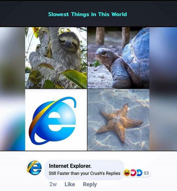Internet meme - Slowest Things In This World D 53 Internet Explorer. Still Faster than your Crush's Replies 2w