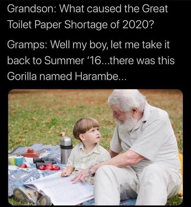 Internet meme - Grandson What caused the Great Toilet Paper Shortage of 2020? Gramps Well my boy, let me take it back to Summer '16...there was this Gorilla named Harambe...