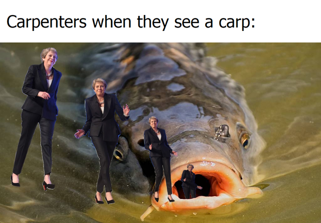 carp fishing - Carpenters when they see a carp