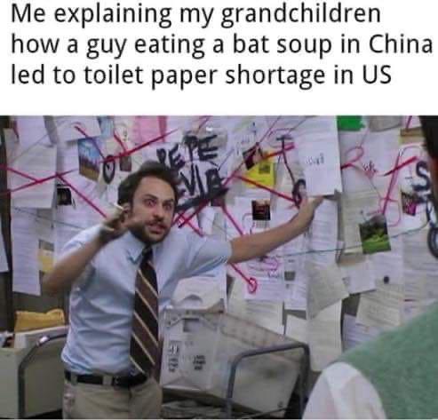 pride and prejudice jokes - Me explaining my grandchildren how a guy eating a bat soup in China led to toilet paper shortage in Us