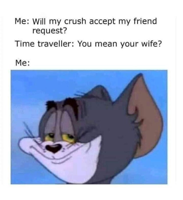 happy memes, wholesome memes, nice memes, clean memes, 2020 memes - Internet meme - Me Will my crush accept my friend request? Time traveller You mean your wife? Me