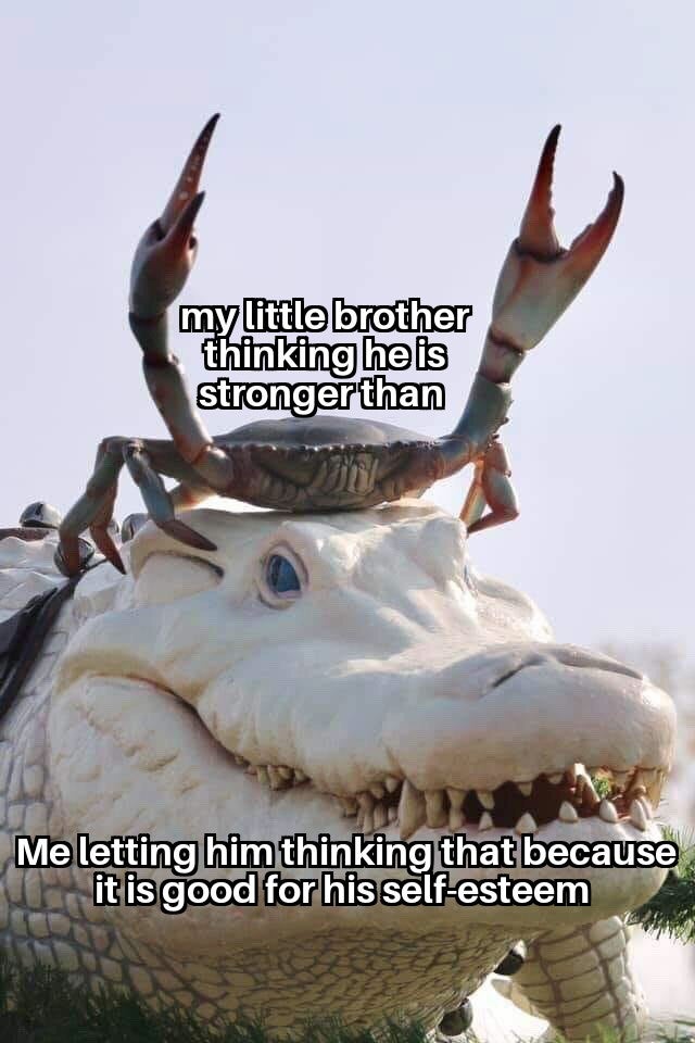 happy memes, wholesome memes, nice memes, clean memes, 2020 memes - florida reindeer - my little brother thinking he is stronger than Me letting him thinking that because it is good for his selfesteem