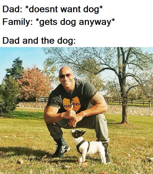 happy memes, wholesome memes, nice memes, clean memes, 2020 memes - dad and dog meme - Dad doesnt want dog Family gets dog anyway Dad and the dog