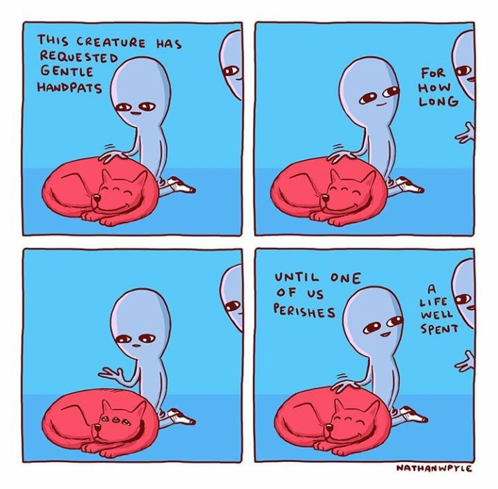 happy memes, wholesome memes, nice memes, clean memes, 2020 memes - creature has requested gentle handpats - This Creature Has Requested Gentle Hand Pats For How Long Until One Of Us Perishes Life Well Spent Nathan Wpyle