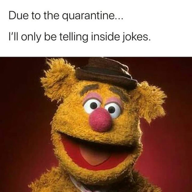 muppets fozzie bear - Due to the quarantine... I'll only be telling inside jokes.