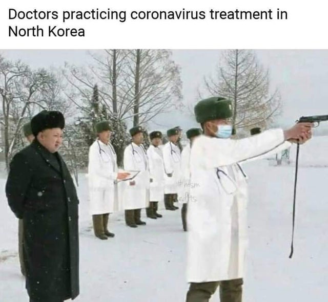Physician - Doctors practicing coronavirus treatment in North Korea
