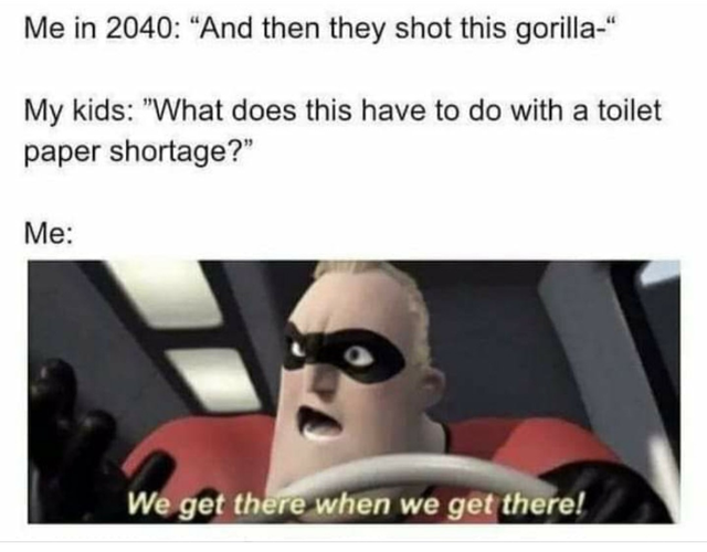 kung fu panda meme - Me in 2040 And then they shot this gorilla" My kids "What does this have to do with a toilet paper shortage?" Me We get there when we get there!
