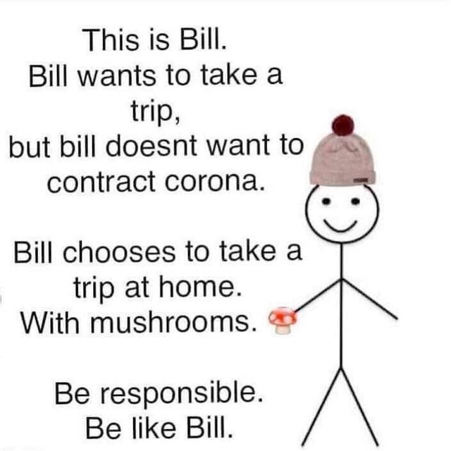 human behavior - This is Bill. Bill wants to take a trip, but bill doesnt want to contract corona. Bill chooses to take a trip at home. With mushrooms. Be responsible. Be Bill.