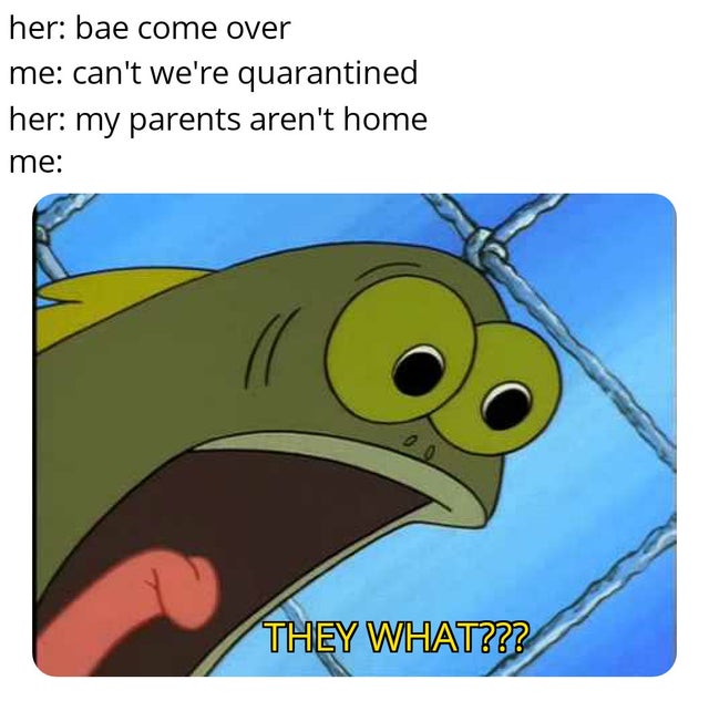 japan pearl harbor hitler meme - her bae come over me can't we're quarantined her my parents aren't home me They What???