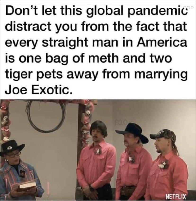 tiger king - meme - bluepearl veterinary partners - Don't let this global pandemic distract you from the fact that every straight man in America is one bag of meth and two tiger pets away from marrying Joe Exotic. Netflix