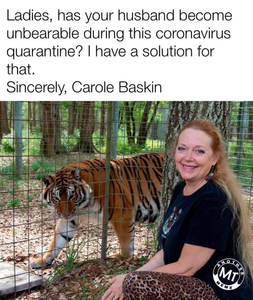 tiger king - meme - copyright statement - Ladies, has your husband become unbearable during this coronavirus quarantine? I have a solution for that. Sincerely, Carole Baskin Not Meme