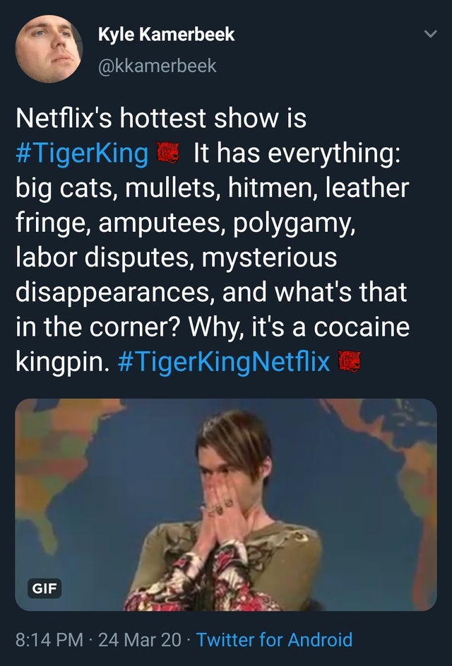 tiger king - meme - poster - Kyle Kamerbeek Netflix's hottest show is It has everything big cats, mullets, hitmen, leather fringe, amputees, polygamy, labor disputes, mysterious disappearances, and what's that in the corner? Why, it's a cocaine 'kingpin. 