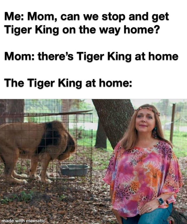 tiger king - meme - photo caption - Me Mom, can we stop and get Tiger King on the way home? Mom there's Tiger King at home The Tiger King at home made with mematic