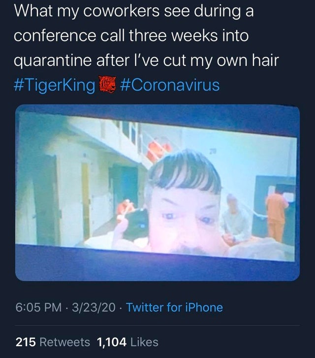 tiger king - meme - multimedia - What my coworkers see during a conference call three weeks into quarantine after I've cut my own hair 32320 Twitter for iPhone 215 1,104