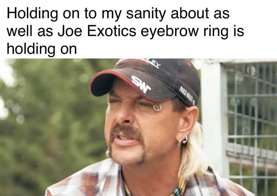 tiger-king-memes-photo caption - Holding on to my sanity about as well as Joe Exotics eyebrow ring is holding on