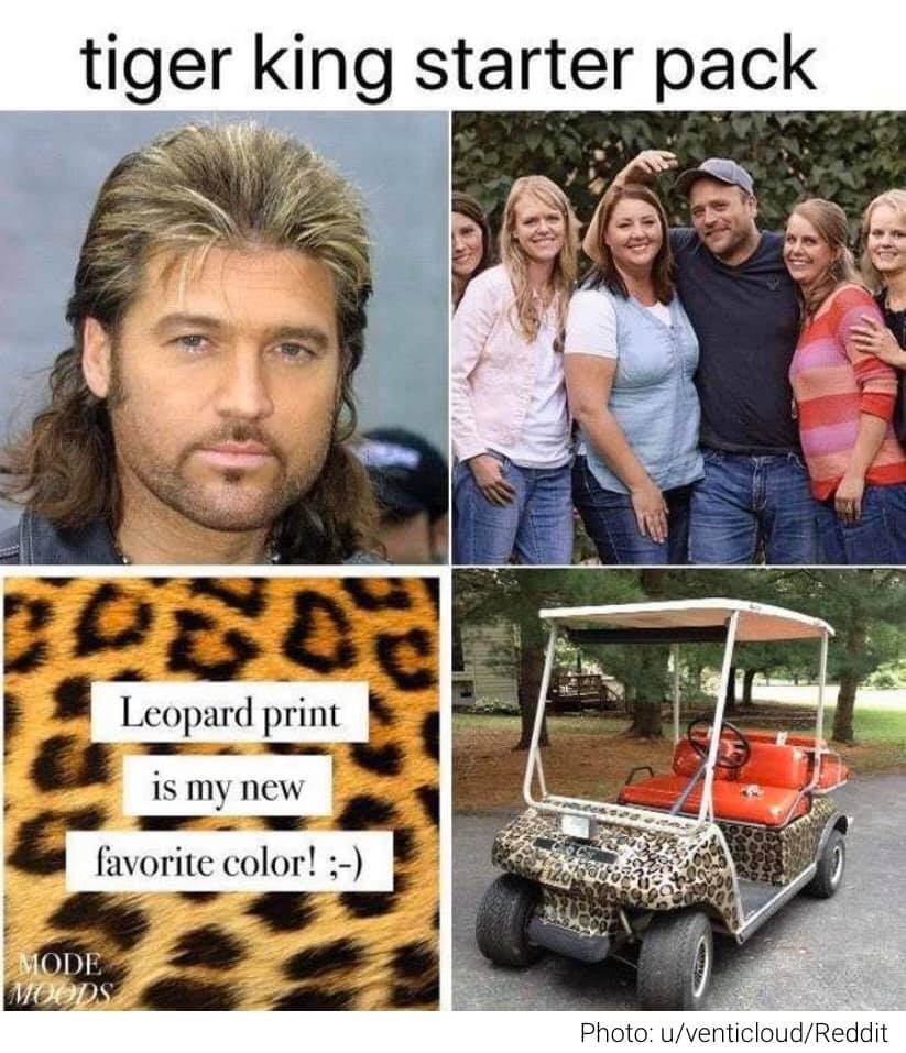 tiger-king-memes-photo caption - tiger king starter pack Leopard print is my new favorite color! ; 29 Mode Mod Photo uventicloudReddit
