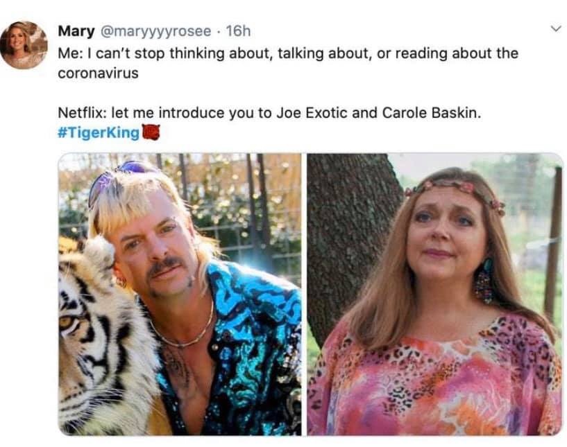 tiger-king-memes-media - Mary . 16h Me I can't stop thinking about, talking about, or reading about the coronavirus Netflix let me introduce you to Joe Exotic and Carole Baskin.